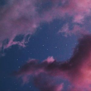 trade for lauren 🥳